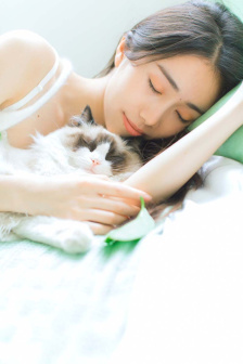 情感战争电视剧